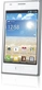 LG Optimus L5 E610 White