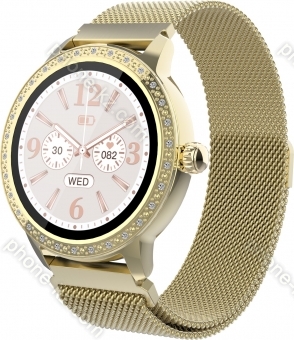 Denver SW-360 gold 