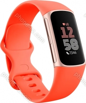 Fitbit Charge 6 activity tracker coral/champagne gold 