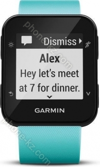 Garmin Forerunner 35 frost blue 