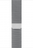 Apple Watch Series 6 (GPS + cellular) 44mm stainless steel silver with Milanaise-Wristlet silver 