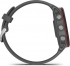 Garmin Forerunner 255 slate grey 