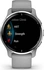Garmin Venu 2 Plus silver/powder grey
