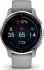 Garmin Venu 2 Plus silver/powder grey 
