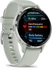 Garmin Venu 3S silver/sage grey