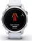 Garmin epix 2S Pro whitestone/silver