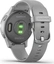 Garmin vivoactive 4S powder grey/silver