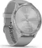 Garmin vivomove 3 activity tracker powder grey/silver