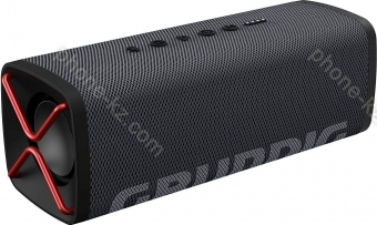 Grundig Club black