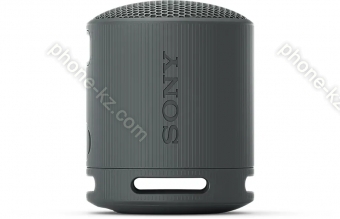 Sony SRS-XB100 black