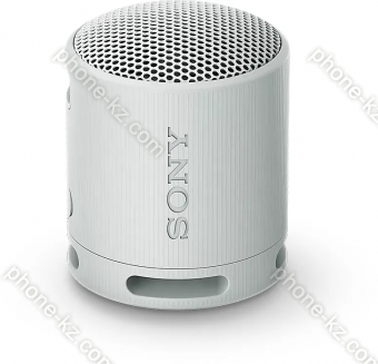 Sony SRS-XB100 grey