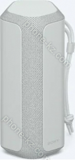Sony SRS-XE200 light grey