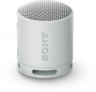 Sony SRS-XB100 grey