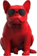 jarre AeroBull HD Glossy Red