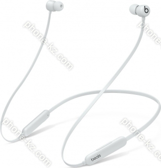 Apple Beats Flex Smoke Gray