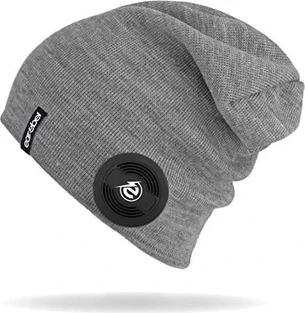 earebel Slim Beanie Gray