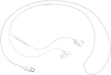 Samsung USB Type-C Earphones EO-IC100 белый